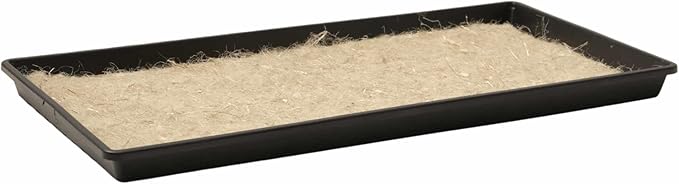 Bootstrap Farmer Microgreen 1020 Trays Shallow Extra Strength 30 Pack Seed Tray with Holes - Grow Fodder Wheatgrass Sprouting Plants Growing