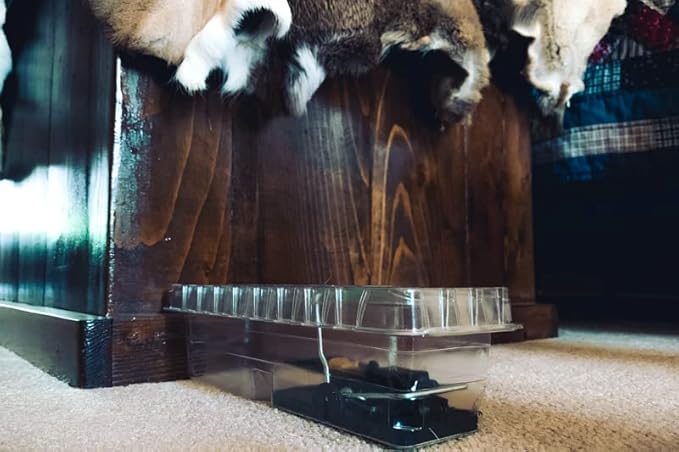 DoomBox™ Clear Enclosed Mouse Trap | Keeps the Mess with the Mouse | Patented Click-It™ Closure Technology | Safe for Kids &amp Pets | Certified Child Resistant | Made in USA (5) (Clear)