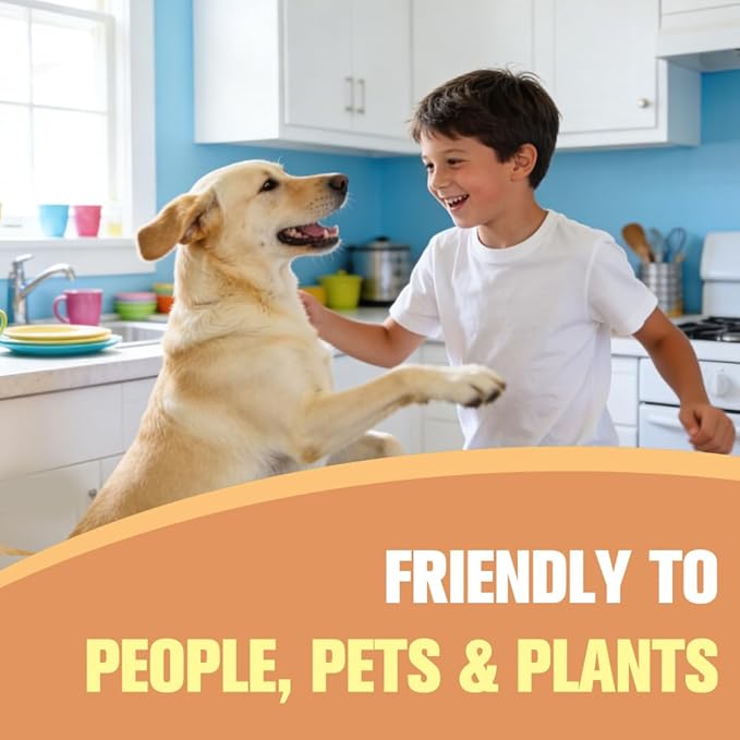 Mosquito Repellent Outdoor Patio Indoor Mosquito Repellent Balls Mosquito Control for Yard Keep Mosquito Away for Travel Natural Mosquitoes Deterrent for Room Outdoor Mosquito Repellant -8P