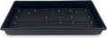 10 Plant Growing Trays (WITH Drain Holes) - 20 x 10 - Perfect Garden Seed Starter Grow Trays: For Seedlings Indoor Gardening Growing Microgreens Wheatgrass &amp More - Soil or Hydroponic