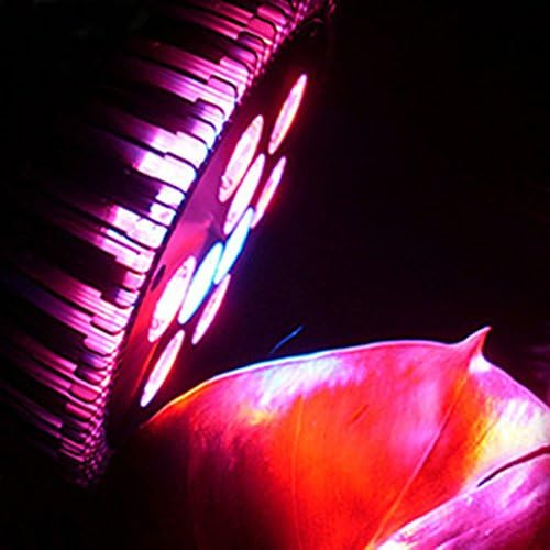 27W CREE Blub LED Grow Light Par Light For Plant Greenhouse