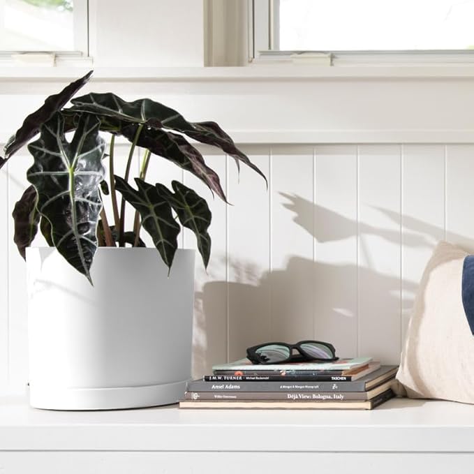 Bloem Mathers Round Planter with Saucer Tray: 10 - White - Modern Design Durable Plastic Pot Removable Saucer for Indoor &amp Outdoor Use Gardening 2.6 Gallon Capacity