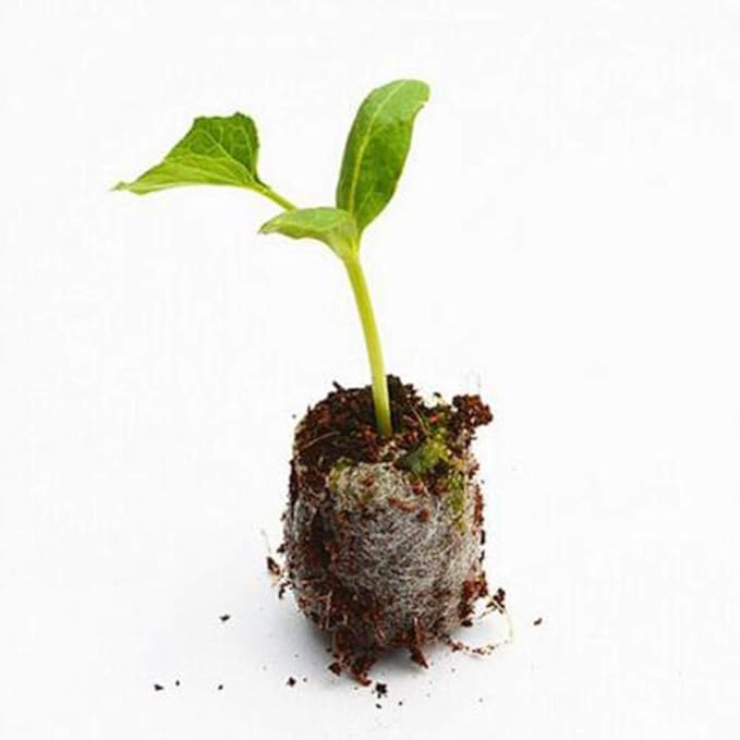 100 Pcs Seedling Soil Block 30mm Peat Pellets Seeds Plant Starting Plugs Compressed Nutrient Fertilizer Fiber Soil Block Seed Fertilizer Nutrient Block Peat Block for Grow Herbs Plant Flowers(#1)