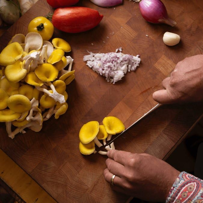 Golden Oyster Mushroom Grow-at-Home Kit - 6lbs - Grow a Commercial Sized Mushroom Crop Easily at Home