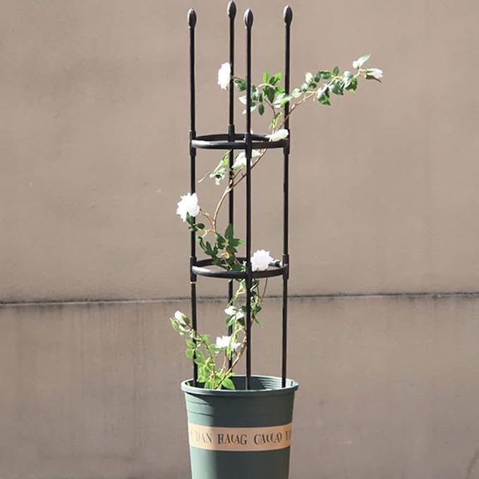 Garden TrellisStainless Steel Trellis for Climbing PlantsDiameter: 25cm/9.8in30cm/11.8in 35cm/13.8inAdjustable Rings Perfect for Tomatoes Vines and More1-Pack (Size : 9.8/25cm Dia. x 79/20
