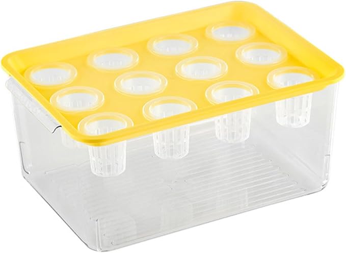 Modern Hydroponic Growing Setup Container Featuring Viewing Window for Home Vegetables Plant Progress Plant Growing Greenhouse Container