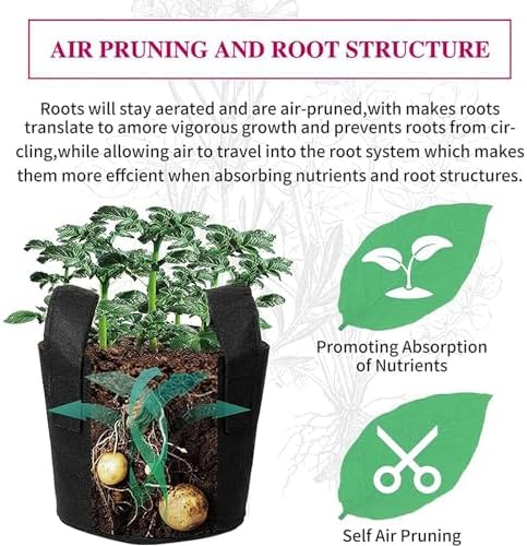 Indoor Hydroponic Growing System with Timer &amp Net Pots - Perfect for Gardening Herbs Fruits Vegetables | Space-Saving Easy Setup Efficient Growth