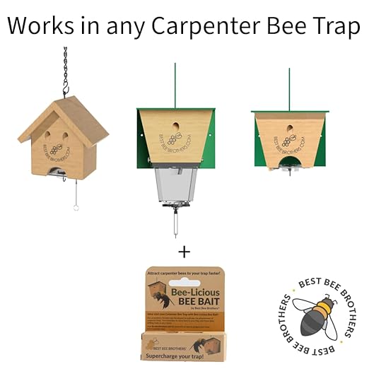Best Bee Brothers Bee-Licious Carpenter Bee Bait All-Natural Pheromone Lure 10 ml Squeeze Tube 2-Pack
