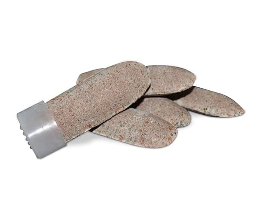 Jobe's 100046754 1612 Fertilizer Spike 15 Brown(2-Pack)