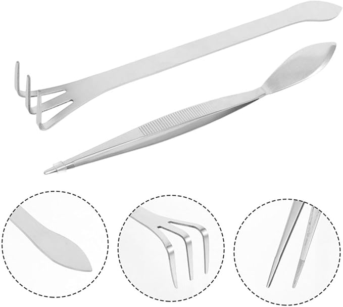 4pcs Bonsai Tree Growing Kit Root Rake Tweezers Shears Training Wire Spatula for Bonsai Supplies