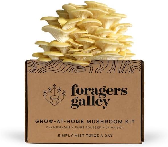Golden Oyster Mushroom Grow-at-Home Kit - 6lbs - Grow a Commercial Sized Mushroom Crop Easily at Home