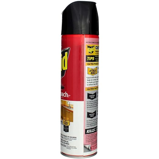 Raid Ant &amp Roach Killer Aerosol Fragrance Free 17.5 oz. Pack of 4