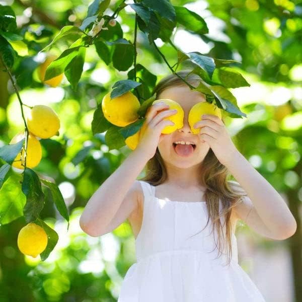 Gardenera Expert Lemon Tree Potting Mix - Perfect for Growing Healthy Beautiful Citrus Limon Trees - [5 Quart Bag]