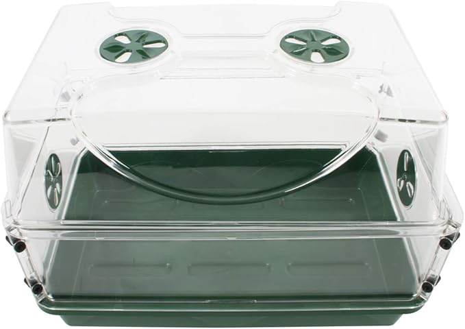 EarlyGrow 93763 Medium Seed and Herb Domed Propagator with Vented Side Height Extension Green