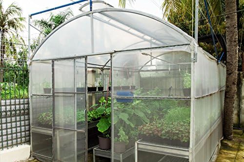 GT4 Greenhouse Plastic 6 Mil Clear 20' Wide X 25' Long