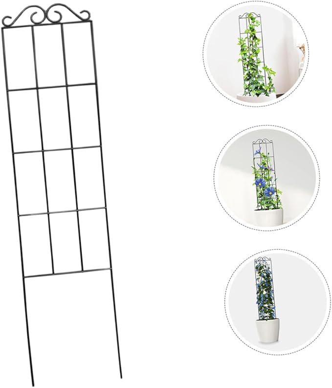 Yardwe 4pcs Metal Garden Trellis Plant Climbing Rack for Vines Support for Potted Plants for Indoor Multifunctional Design for Healthy Growth