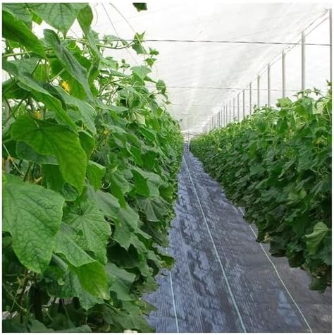 Premium Weed Control Membrane - Durable Geotextile Landscape Fabric for Garden &amp Plant Mulching (0.9m x 200m) - Effective Weed Barrier Heavy-Duty Outdoor Solution