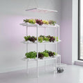 Hydroponic Grow KitPump TimerFood-Grade PVC-U Pipes Hydroponics Planting System with Water Pump Nest Basket and Sponge for Leafy Vegetables