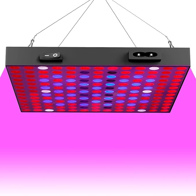 200W LED Full Spectrum Indoor Planting Lamps 100-277V Seedling Cultivation Light 169LEDs Greenhouse Tent Fruit Fill Lighting 110V Hydroponic Flower Moss Potted Cactus Lights US Plug with Hook Hanging