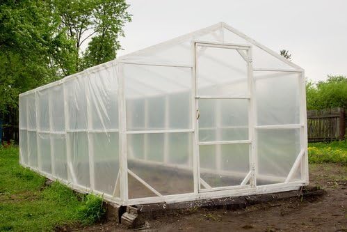 Be Cool Solutions Polyethylene Greenhouse Film 6mil 24'W X 25'L – Clear Plastic Single Layer Greenhouse Cover Roll - UV Treated 4 Years UV Protection IRAD Greenhouse Supplies for Grow Tunnel