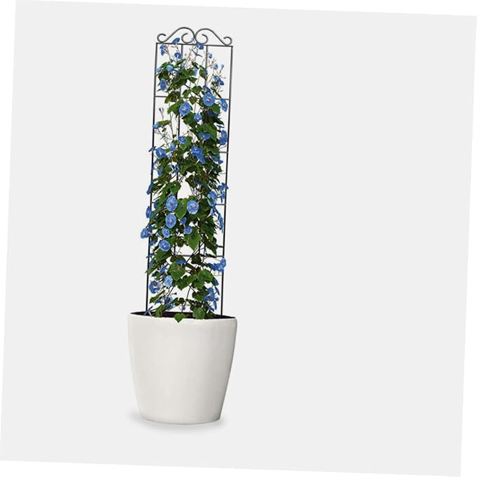 DOITOOL 4pcs Metal Garden Trellis Plant Support Frame Climbing Plant Stand for Potted Flowers Vines 50x15cm Black for Home and Outdoor Garden Use