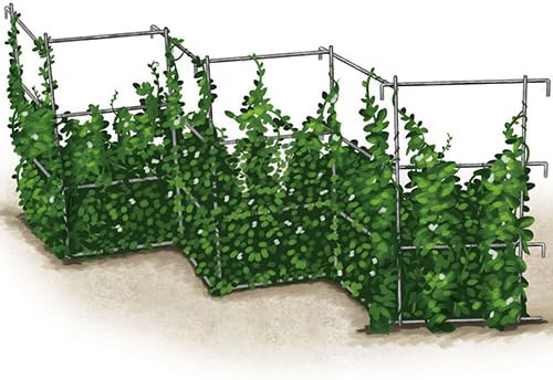 GURNEY'S - Pea Fence and Plant Trellis - 2 Galvanized metail Panels Measuring 8 feet Long and 32 inches Tall When hinged Together