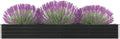 Garden Raised PlanterGarden BedGalvanized Raised Garden BedPlanter Raised bedsGalvanized PlanterFlower BedBed Galvanized Steel 126x15.7x17.7 Anthracite