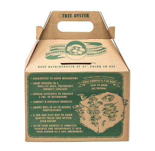 Far West Fungi Oyster Mushroom Mini-Farm Grow Kit 5lbs Non-GMO Easy to Use Grow Your Mushrooms at Home Tree Oyster Produced by Real Farmers in California Indoor