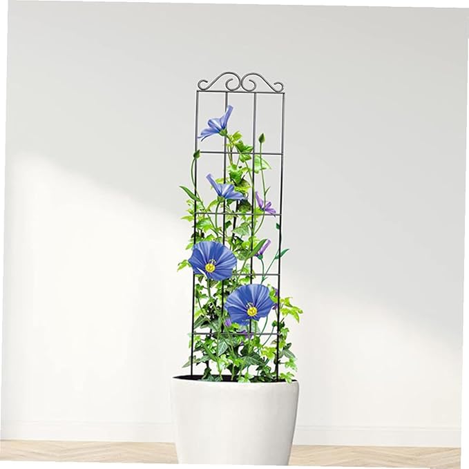4pcs Black Metal Garden Trellis Plant Climbing Frame for Potted Flower Vines Indoor Outdoor Plant Support Frame 50x15cm