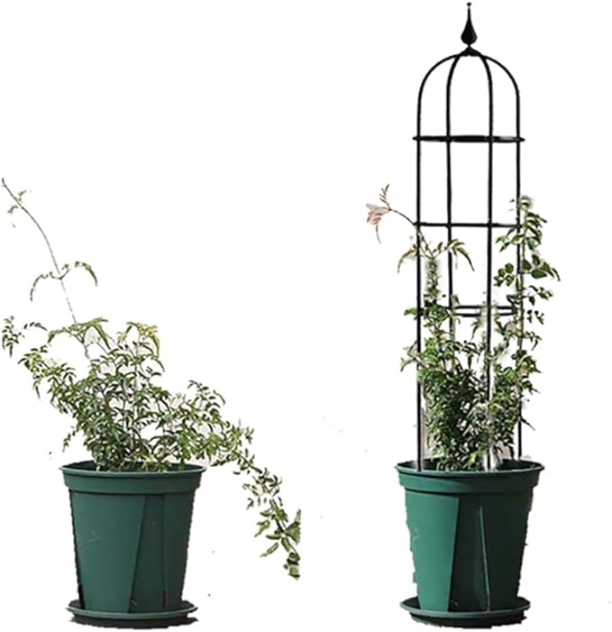 Garden Obelisk Trellis for Climbing Plants Outdoor Metal Trellis with Anti-Rust Coated Garden Trellis for Potted Plants Indoor Plant Support for Vegetables Vines 47.32429.535.5 H ( Size : 6/15