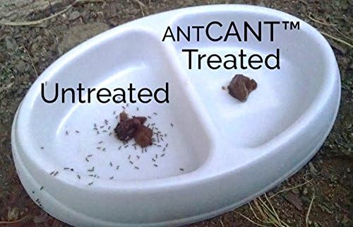 AntCant-ant Barrier Coating. Ants Can't get a Grip on Treated Inclined Smooth Surfaces. After Failing to Climb They give up and go Away