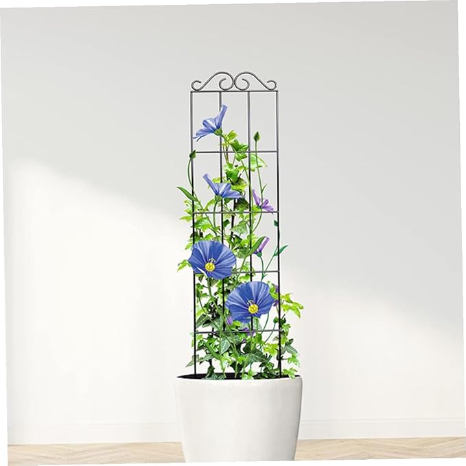 Operitacx 4pcs Metal Garden Trellis Plant Climbing Rack Support Frame for Potted Vines Indoor Outdoor Plant Climbing Holder 50x15cm Black