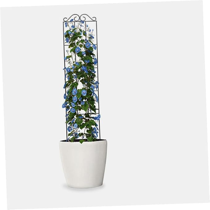 minkissy 4pcs Metal Garden Plant Climbing Trellis Frame for Vines and Flowers 50x15cm Black Plant Support for Indoor Outdoor and Garden
