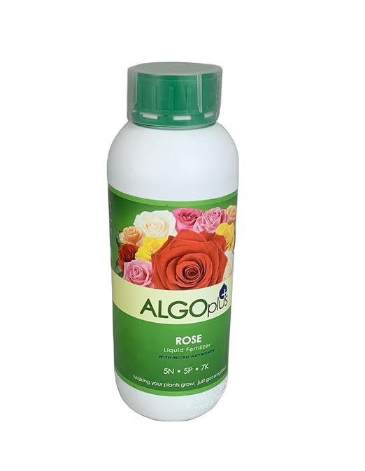 Algoplus Fertilizer Houseplant Formula - Single