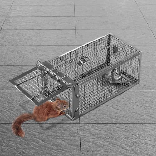Humane Squirrel Trap - 2 Pack Rat Trap that Works 12.5x6.5x5.5 Small Rodent Chipmunk Trap Cages | Catch and Release | Reusable and Durable | No Kill Animal Trap | Indoor for Home and Outdoors