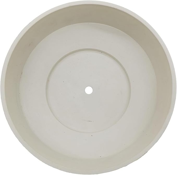 The HC Companies 8 Inch Round Plastic Succulent Capri Bowl Decorative Indoor Flower Succulent Planter Pot with Drain Plug Hole Vanilla Bisque (2 Pack)