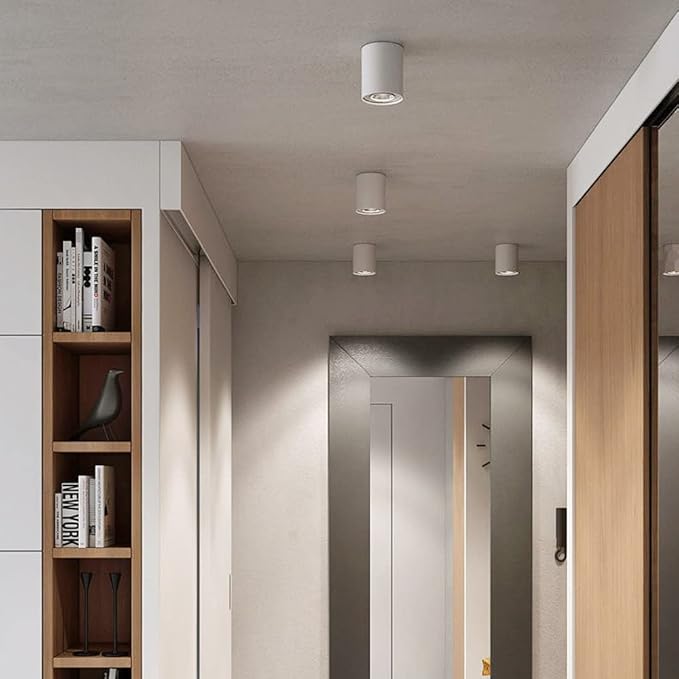 Led Mounted Spotlight 2 Packs Ceiling Downlight Cylindrical Hallway Lamp Adjustable Directio l Accent Spot Lighting Corridor Gallery Spotlights