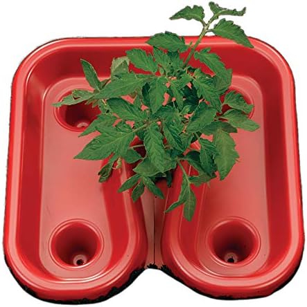 Park Seed Red Tomato Automator Tray All-Purpose Feeder Waterer Weeder Includes 3 Trays