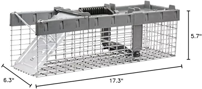 Havahart Small 1-Door Humane Live Catch and Release Animal Trap for Squirrels Weasels Chipmunks and Other Animals - Humane Catch and Release for Small Animals - 1026