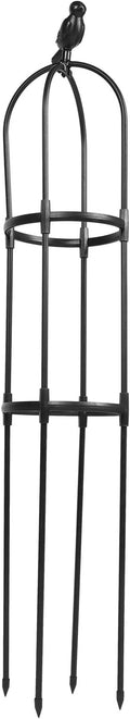 Garden Trellis for Climbing Plants Outdoor and Indoor Black Metal Plant Climbing Support Rack 25cm Diameter X 120cm Height Sturdy Vine Shaping Stand for Garden and Patio