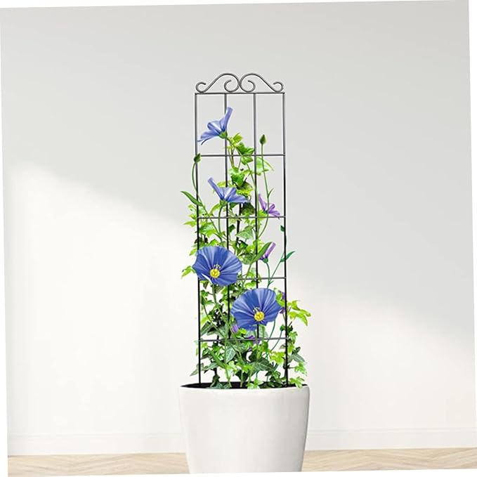 4pcs Metal Plant Support Frame Climbing Trellis for Garden and Potted Vines 50x15cm Black Vegetable and Flower Climbing Bracket for Home and Greenhouse Use