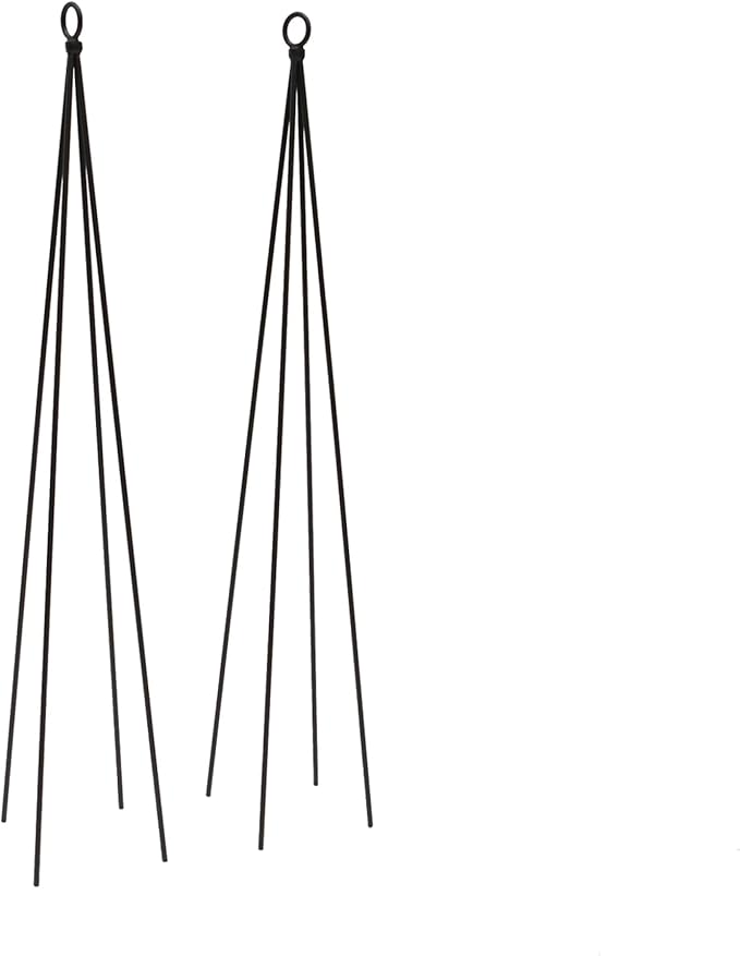 Container Trellis Pack of 2