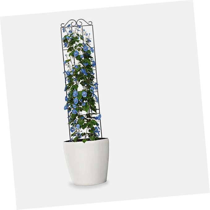 VOSAREA 4pcs Metal Climbing Plant Bracket Trellis Support for Vines Potted Plants Garden Indoor Outdoor 50x15cm Black Climbing Vine Frame