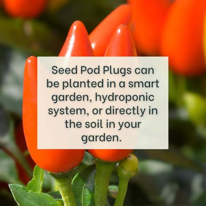 Taquito Pepper - Complete Seed Pod Plugs with Plant Food - 10 Pods for Hydroponic Gardens Click and Grow Lettuce Grow and Outdoor Gardens