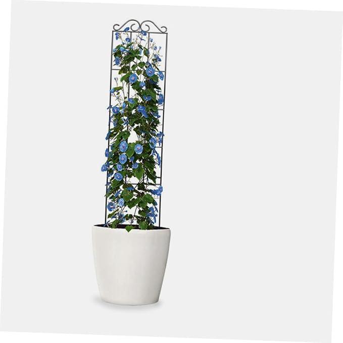 4pcs Garden Plant Climbing Frame Trellis Support 50x15cm Black Metal for Indoor Outdoor Potted Vines and Flower Climbing