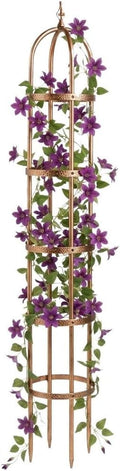 Plow &amp Hearth Metal Garden Plant Obelisk | Indoor &amp Outdoor Safe | Powder-Coated Steel Cast Iron Finial | Trellis for Climbing Planters | Stamped Floral Pattern | 14 Dia. x 8'H (Antique Coppe