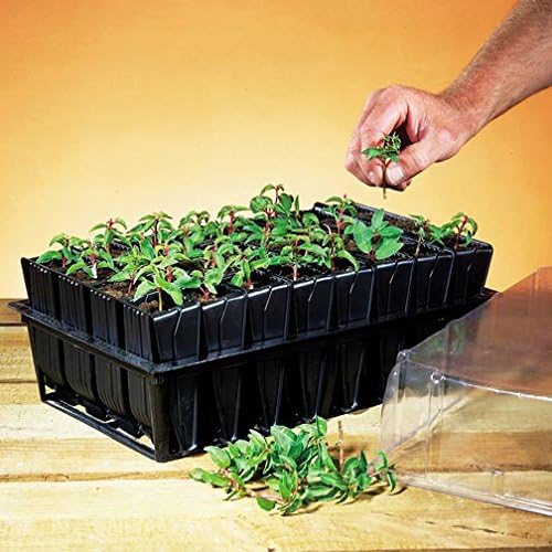 Deep Rootrainers Kit - Seed and Cutting Propagation Kit (32 Cell 5 inches deep)