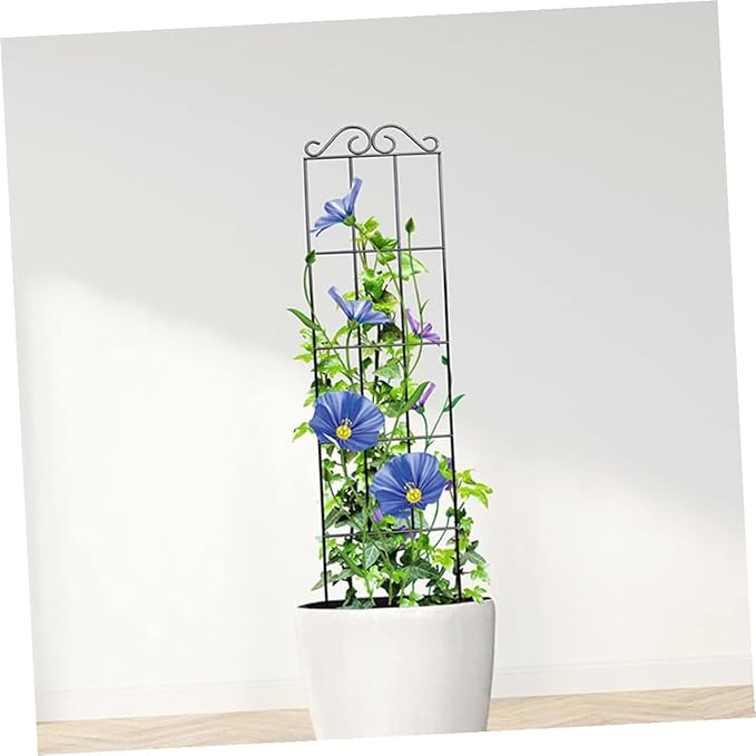 Gadpiparty 4pcs Garden Trellis for Flower Pot Climbing Plant Frame Metal Plant Support Stand 50x15cm Black for Indoor Outdoor Potted Vines and Vegetable Climbing