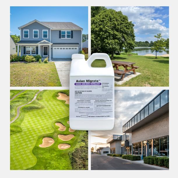 Goose Deterrent Bird Repellent Concentrate Geese Repellent Non-Toxic Removes Geese from Yards Parks Beaches Ponds and Ground Made in The USA (1/2 Gallon)