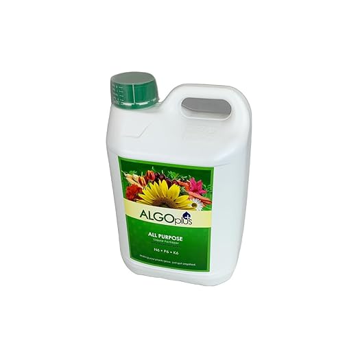 Algoplus Fertilizer Houseplant Formula - Single